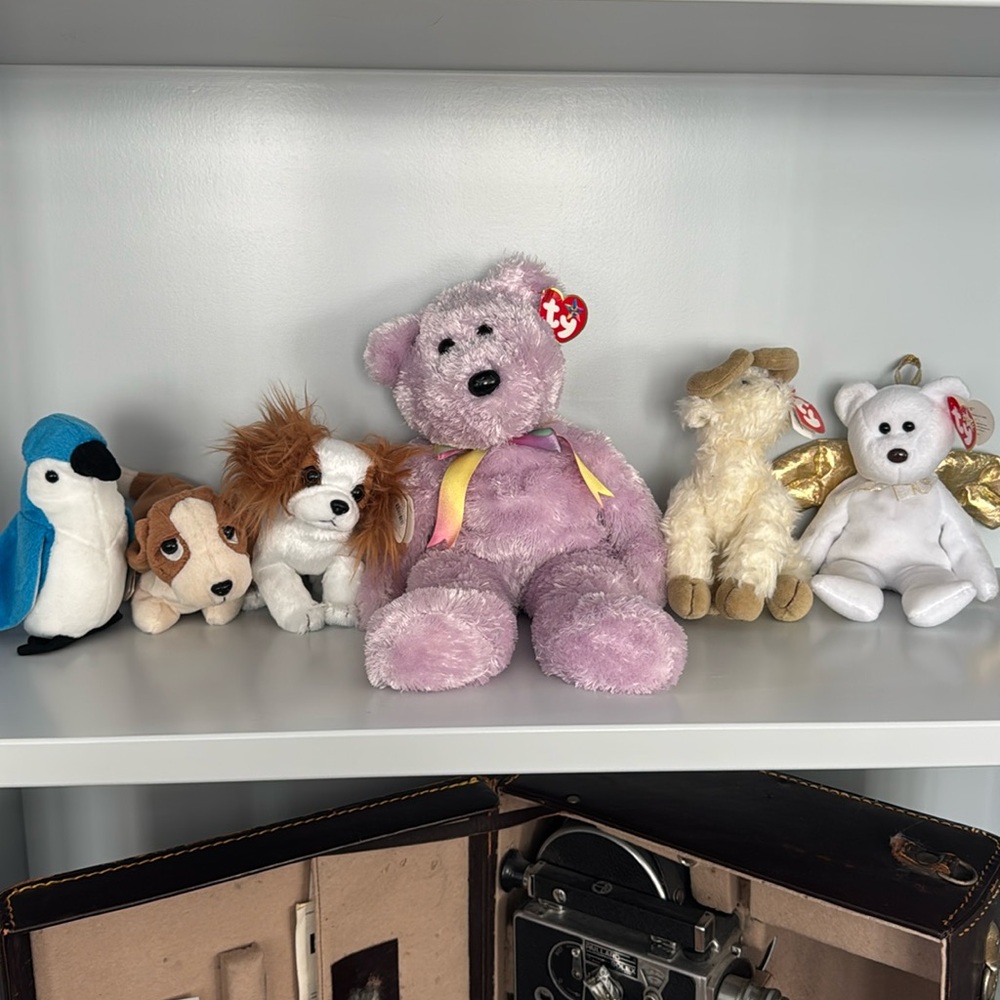 Collection of 6 Beanie Babies
